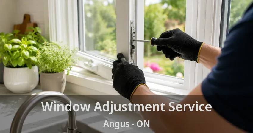 Window Adjustment Service Angus - ON