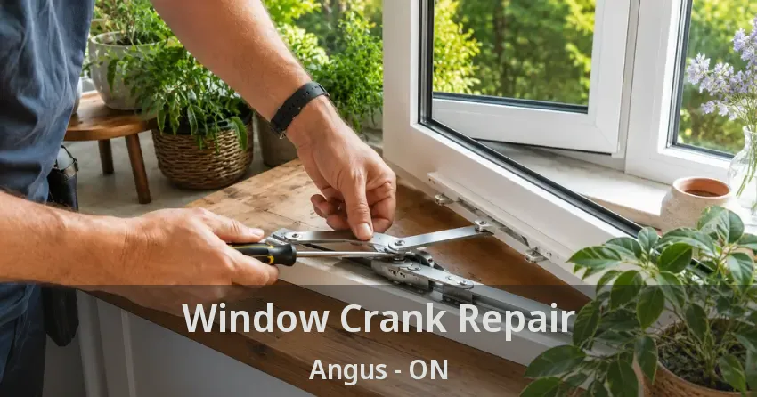 Window Crank Repair Angus - ON