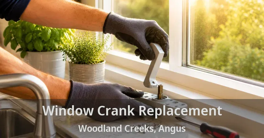 Window Crank Replacement Woodland Creeks, Angus - ON