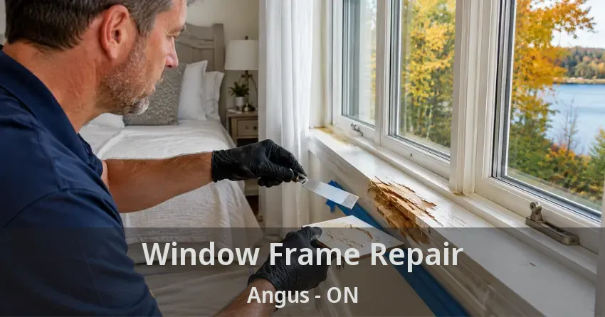 Window Frame Repair Angus - ON
