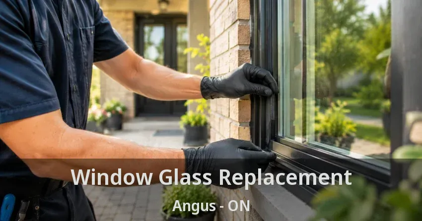 Window Glass Replacement Angus - ON
