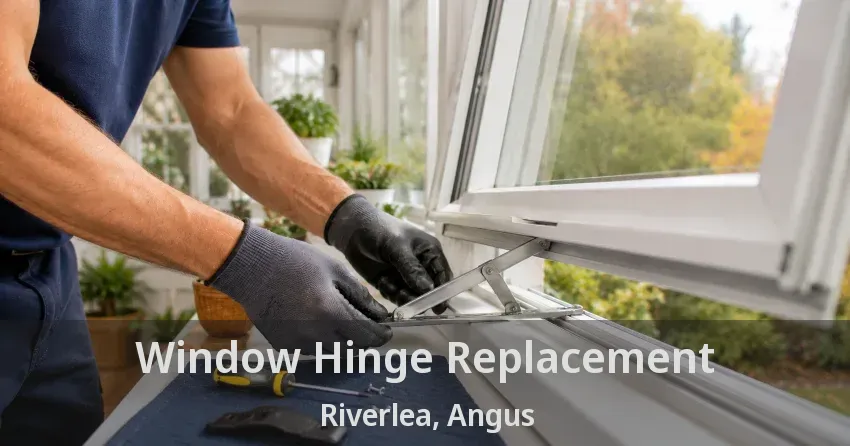 Window Hinge Replacement Riverlea, Angus - ON