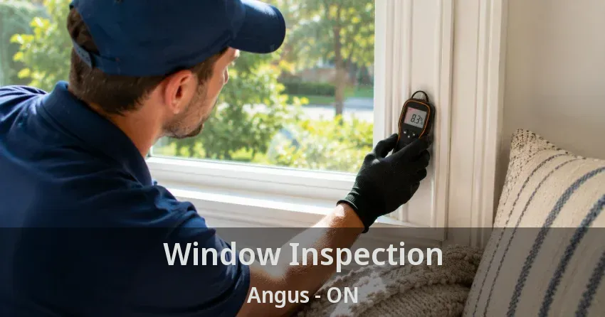 Window Inspection Angus - ON