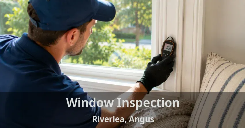 Window Inspection Riverlea, Angus - ON