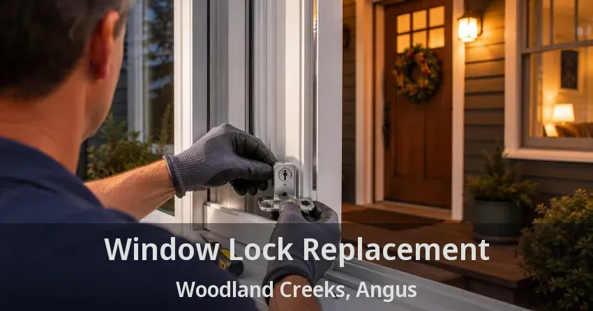 Window Lock Replacement Woodland Creeks, Angus - ON
