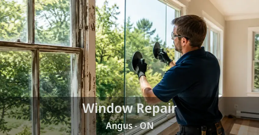 Window Repair Angus - ON