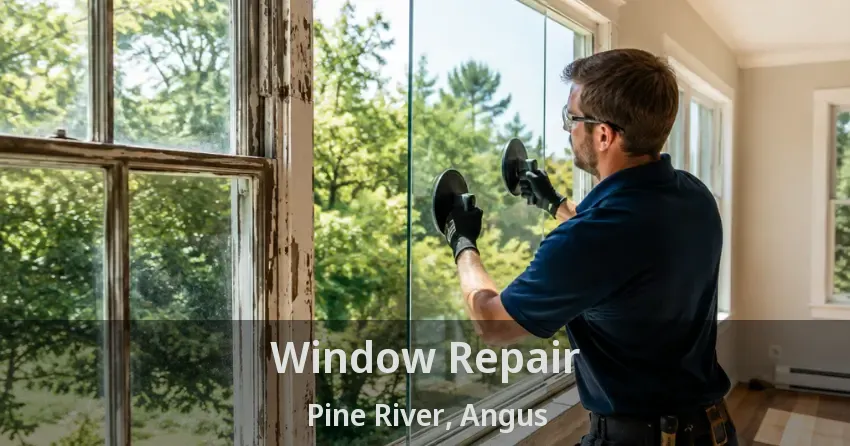 Window Repair Pine River, Angus - ON