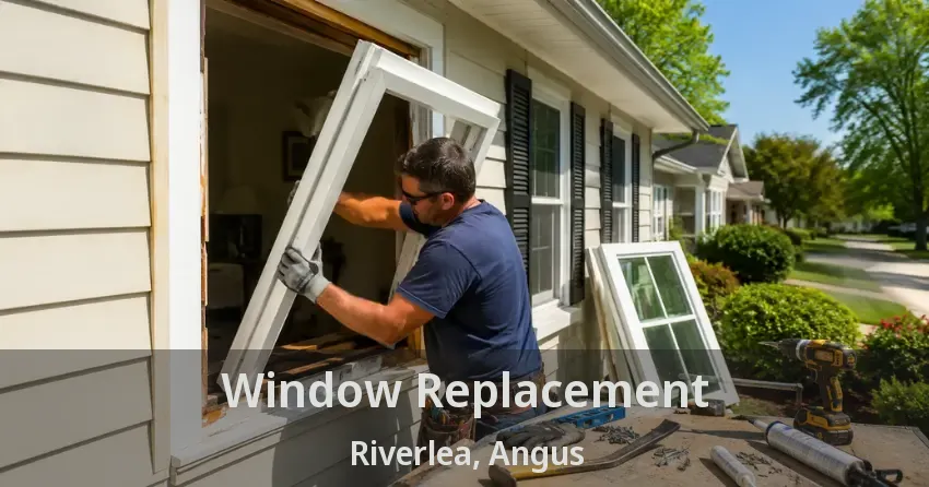 Window Replacement Riverlea, Angus - ON