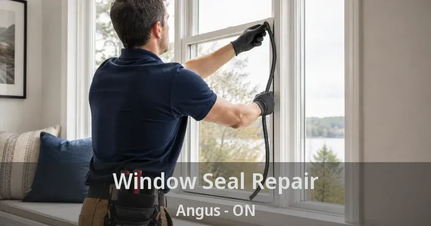Window Seal Repair Angus - ON