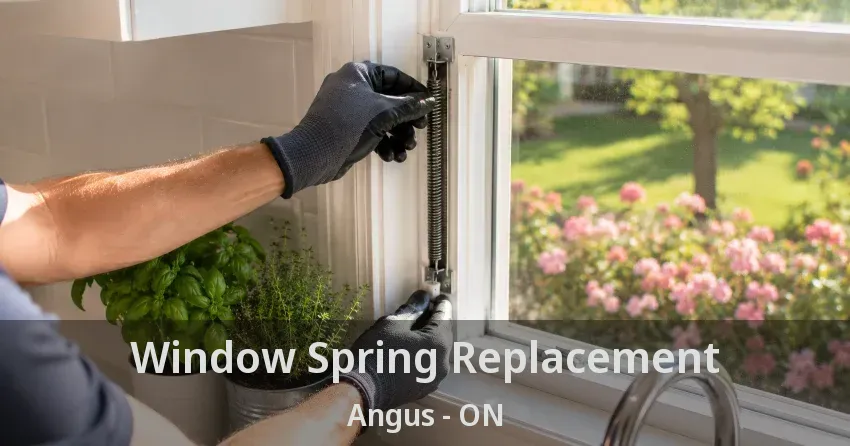 Window Spring Replacement Angus - ON
