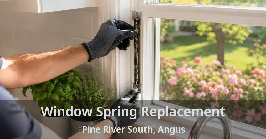 Window Spring Replacement Pine River South, Angus - ON