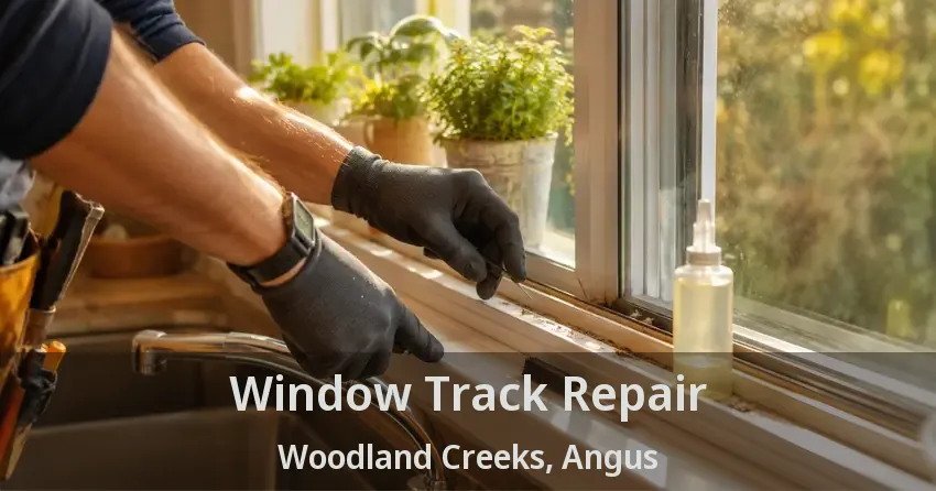 Window Track Repair Woodland Creeks, Angus - ON
