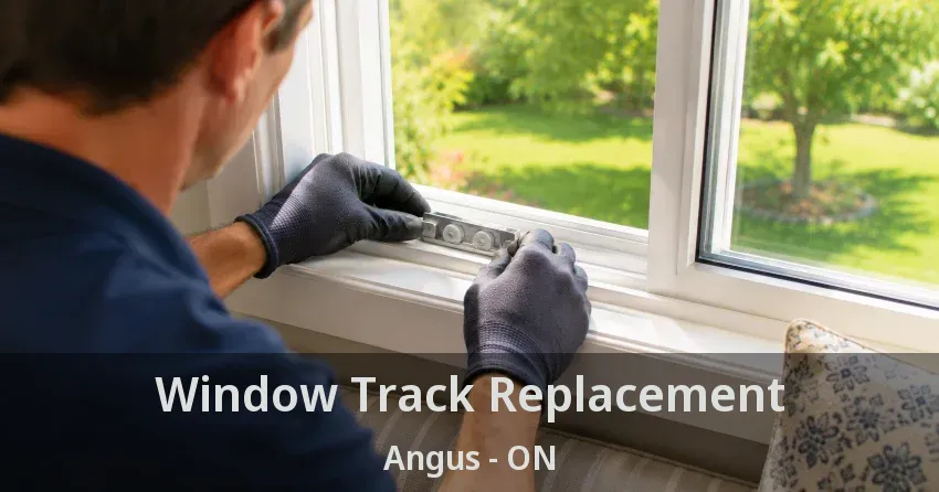 Window Track Replacement Angus - ON